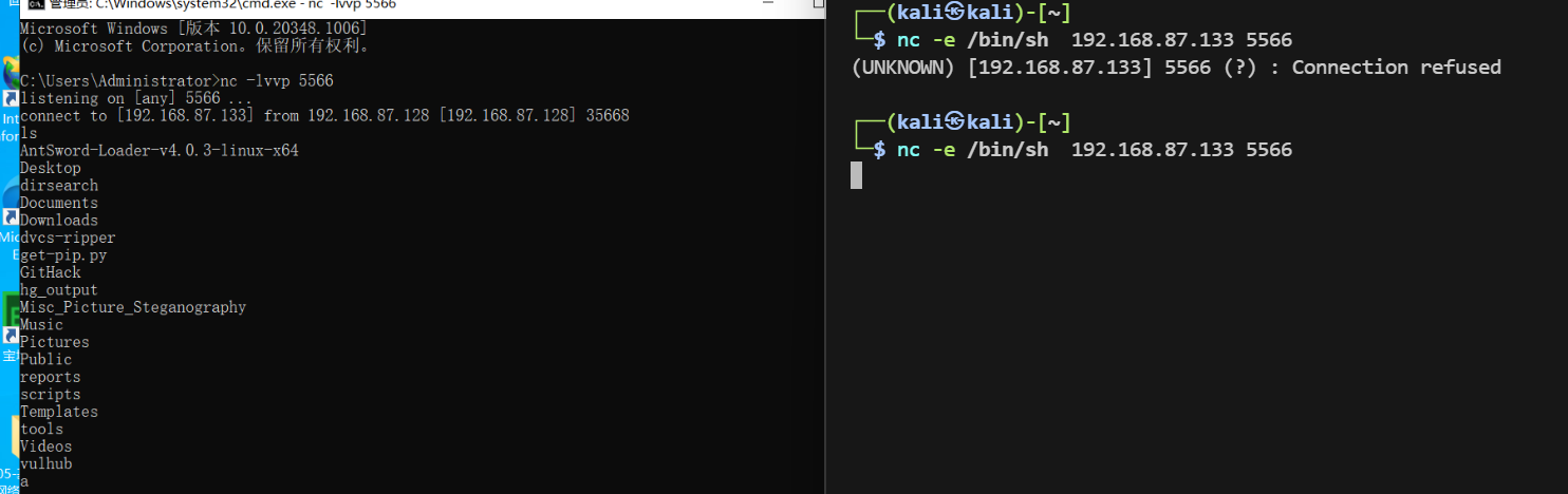 image-20261005135849236